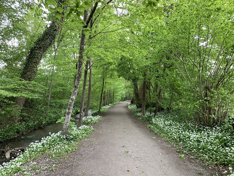 Baar Schochenmühle Alte Lorze