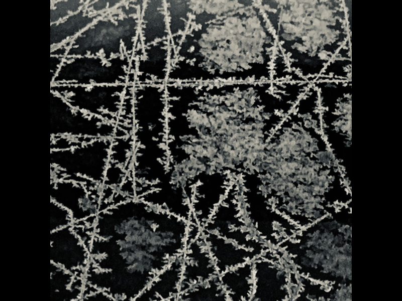 Emmenbrücke Bahnhof Eisblumen